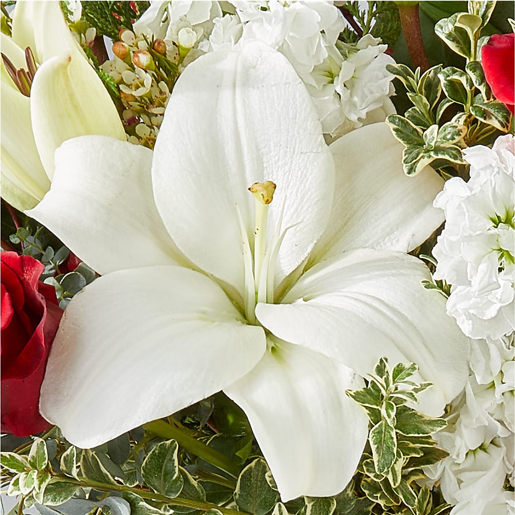 Twinkle Lights Bouquet –  Evergreen Flowers, Tucson AZ