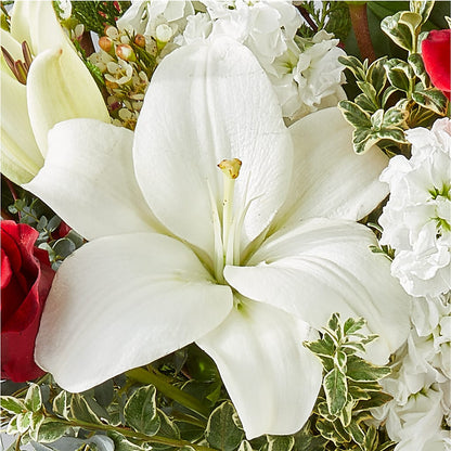 Twinkle Lights Bouquet –  Evergreen Flowers, Tucson AZ
