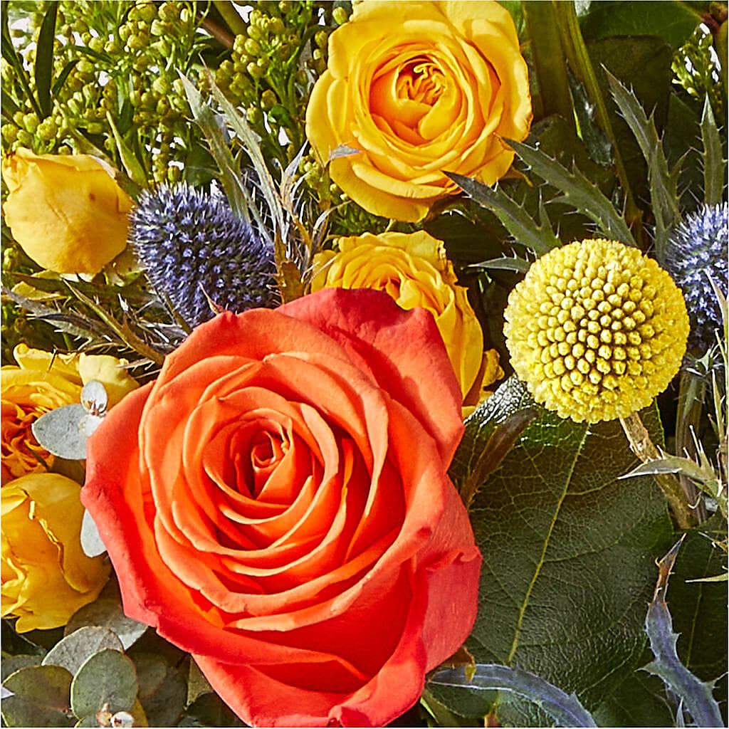 Disco Bouquet –  Evergreen Flowers, Tucson AZ