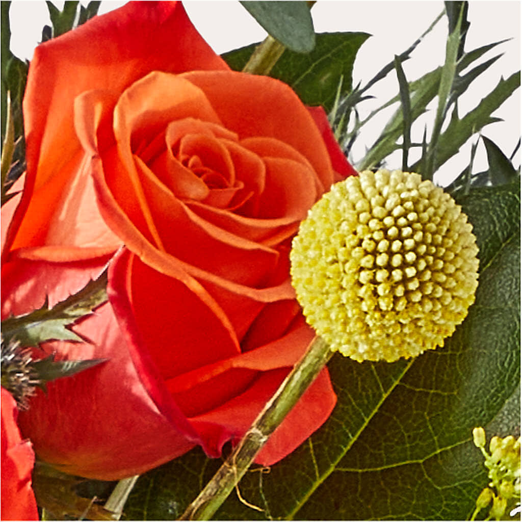 Disco Bouquet –  Evergreen Flowers, Tucson AZ