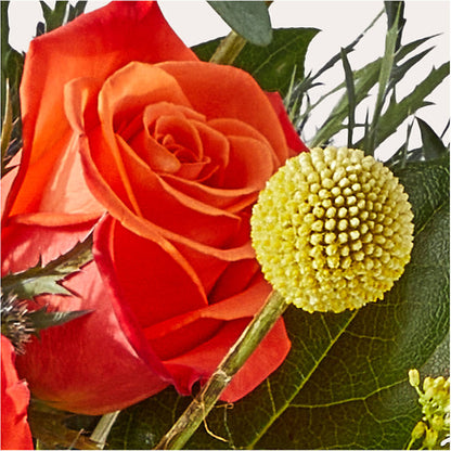Disco Bouquet –  Evergreen Flowers, Tucson AZ