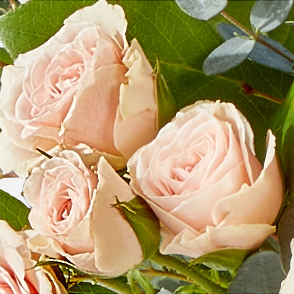 Inspired Bouquet –  Evergreen Flowers, Tucson AZ