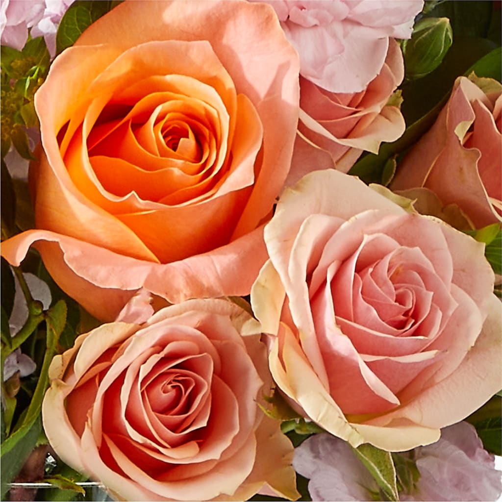 French Market Bouquet –  Evergreen Flowers, Tucson AZ