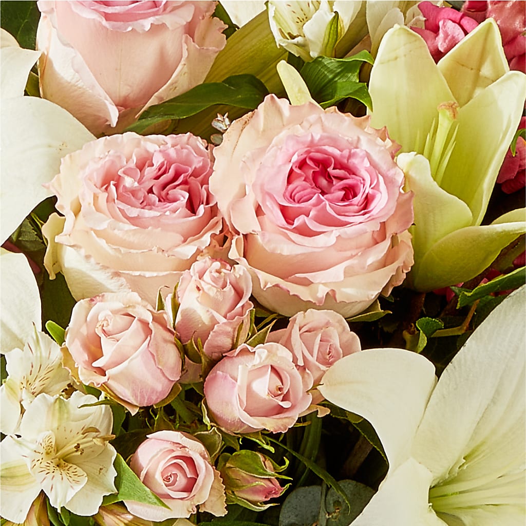 Ballet Slippers Bouquet –  Evergreen Flowers, Tucson AZ