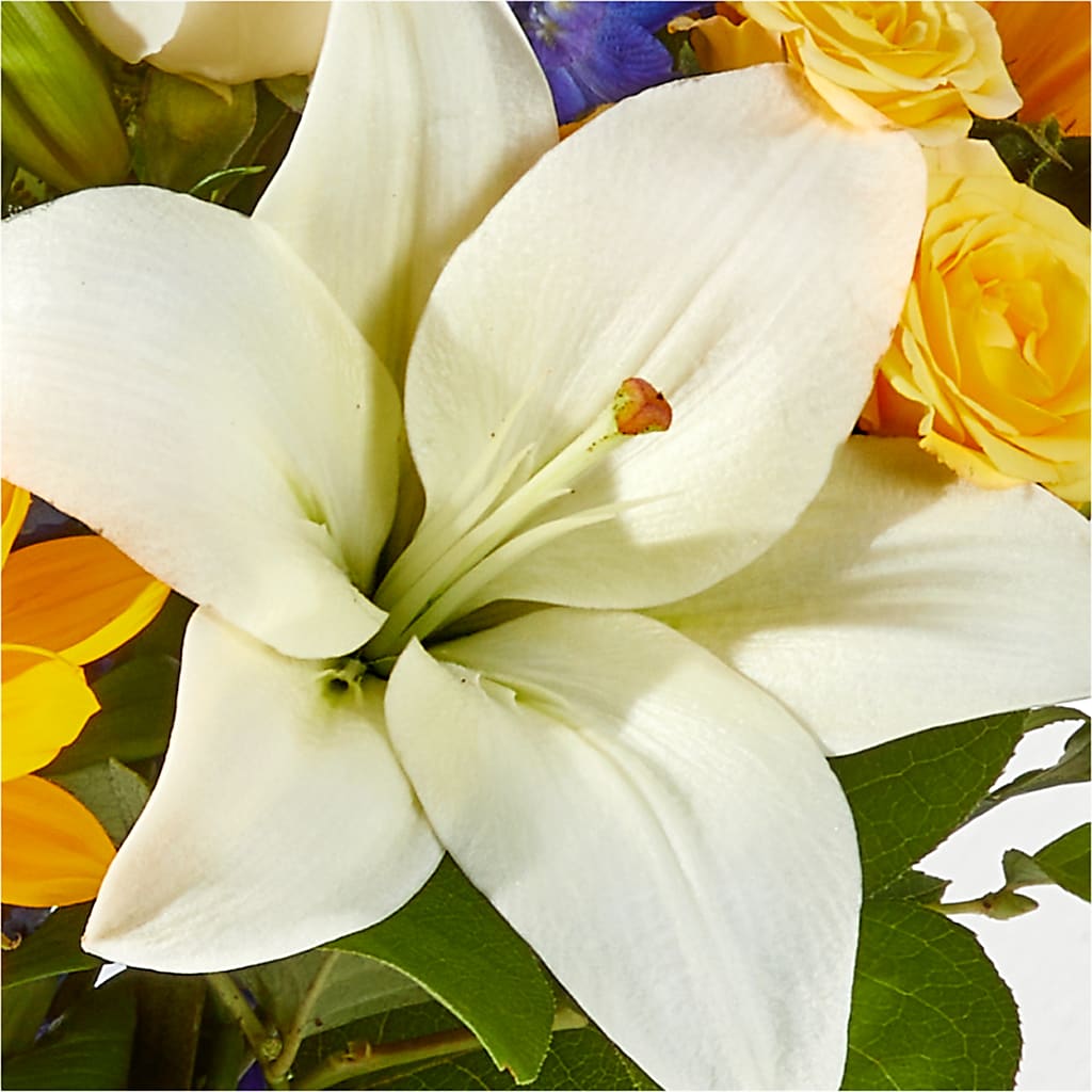 Wonderfully Sunny Bouquet –  Evergreen Flowers, Tucson AZ