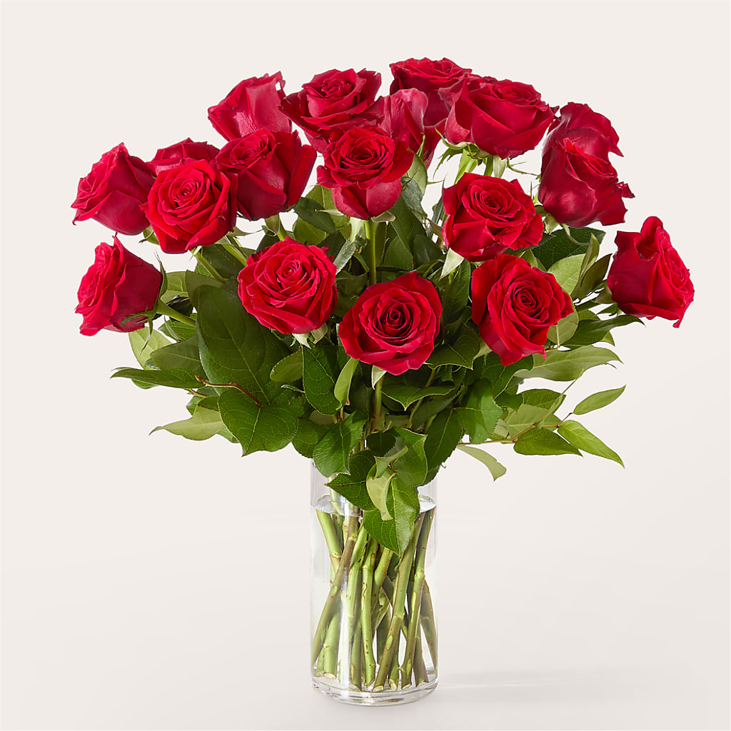 The One Red Rose Bouquet –  Evergreen Flowers, Tucson AZ