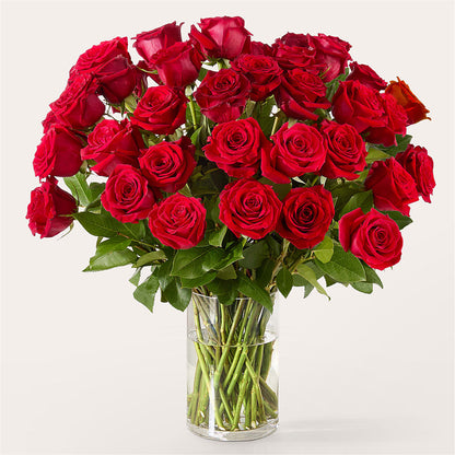 The One Red Rose Bouquet –  Evergreen Flowers, Tucson AZ
