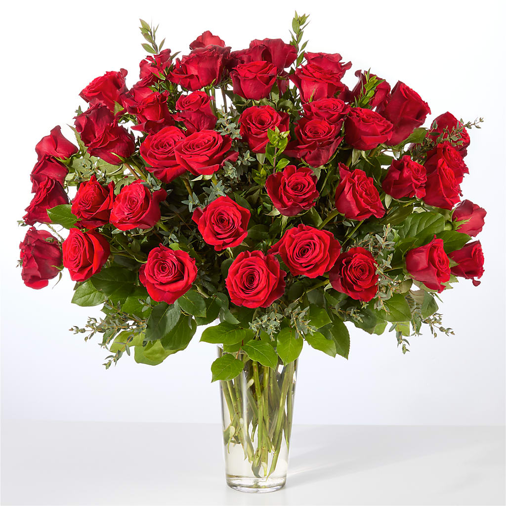Forever Yours Fifty Stem Red Rose Bouquet –  Evergreen Flowers, Tucson AZ