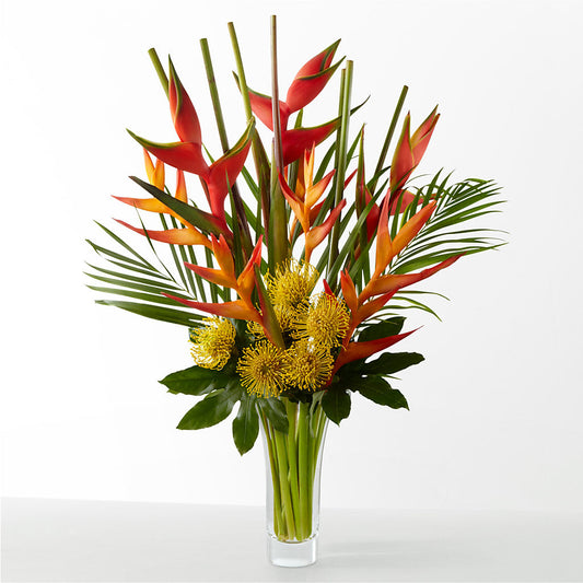 The Drama –  Evergreen Flowers, Tucson AZ