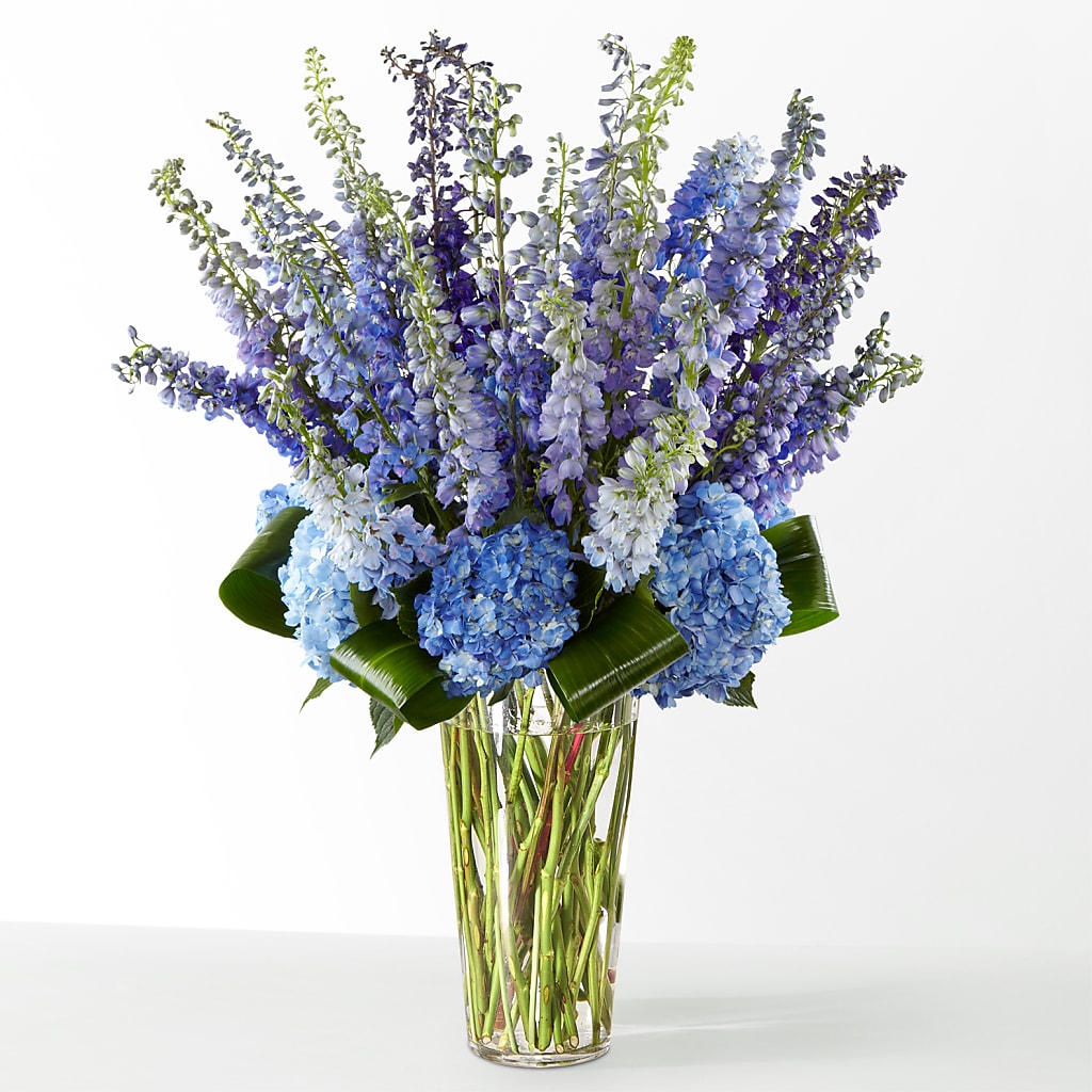 The Editorial –  Evergreen Flowers, Tucson AZ