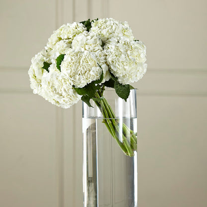 White Hydrangea Hand-Tied Bouquet –  Evergreen Flowers, Tucson AZ