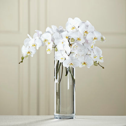 White Phalaenopsis Bouquet –  Evergreen Flowers, Tucson AZ