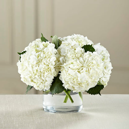 White Hydrangea Bouquet –  Evergreen Flowers, Tucson AZ