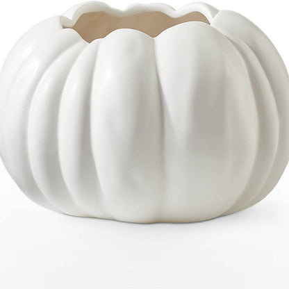 Pumpkin to Talk About Bouquet –  Evergreen Flowers, Tucson AZ
